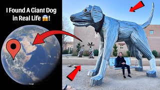 I Found A GIANT DOG 🐕 in Real Life On Google Earth and Google Maps 😱 [upl. by Ner637]