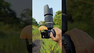 Dslr camera flash diffuser shorts [upl. by Frederick375]