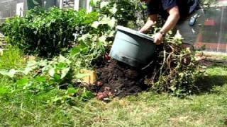 Harvesting Potatoes [upl. by Pavkovic]