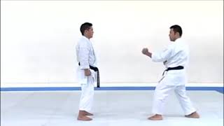 SANSERU  Kata amp bunkai [upl. by Imer455]