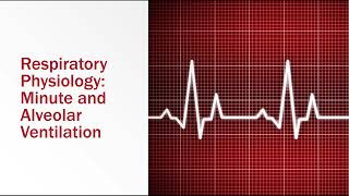 Respiratory Physiology Minute and Alveolar Ventilation [upl. by Shieh]