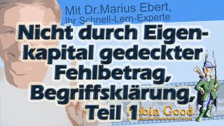 Nicht durch Eigenkapital gedeckter Fehlbetrag Teil 1 Begriffsklärung [upl. by Neersan]