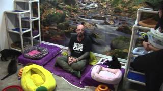 A word from Jackson Galaxy [upl. by Nations819]