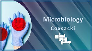 L2 part 1 Viral meningitis Coxsackie  micro [upl. by Ellebasi]