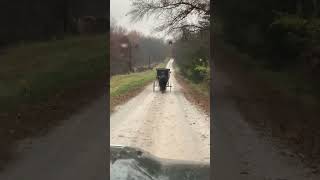 Amish are getting it Swamp People Style [upl. by Zoubek388]