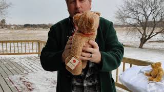 Hermann Teddy of Germany Growlers [upl. by Ennej]