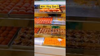 Mini Vlog Day3 🥰 Shah Ji Dairy♥️ shortsfeed trending minivlog viralvideo viralyoutubevideo [upl. by Aratnahs726]