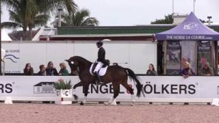 Steffen Peters and Rosamunde Warm Up for CDI 3 [upl. by Uyerta]