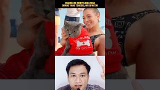 AKSI HEROIK KUCING MENYELAMATKAN WANITA YANG TENGGELAM‼️shorts alurcerita storytelling [upl. by Kylah]