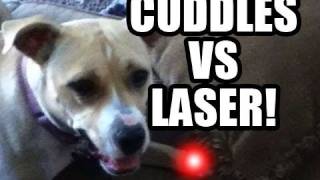 Cuddles vs Laser  DANEBOEVLOG [upl. by Mak281]