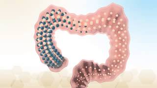 The Importance of Prebiotics for Baby Gut Health  Enfamil [upl. by Ennagroeg]