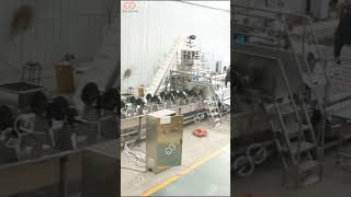 Iqf Frozen Green Peas Processing Line machine [upl. by Abelard]