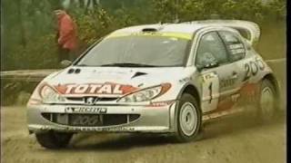 Peugeot 206 WRC  The Champion Lion [upl. by Naujet521]