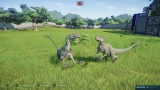 Proceratosaurus vs Velociraptor Jurassic World Evolution [upl. by Beitnes947]