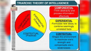 🌐🌀TRIARCHIC THEORY OF INTELLIGENCESTERNBERGS THEORY OF INFORMATION PROCESSINGMA PSYCHOLOGYIGNOU🌐🌀 [upl. by Muscolo181]