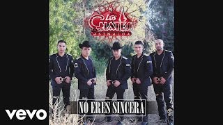 Los Cuates de Sinaloa  No Eres Sincera Cover Audio [upl. by Nollat36]