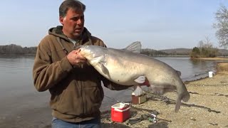 Basic Guide To Catching Big Catfish [upl. by Kendall]