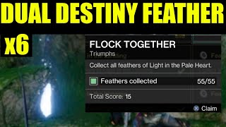 Where to find Dual destiny Secret Feathers Locations  Destiny 2 Flock Together Triumph Walkthrough [upl. by Arodoeht]