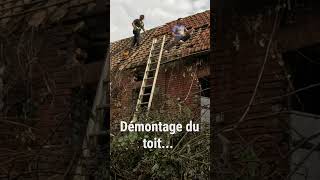 Premier vrai chantier  Démontage du toit de la porcherie challenge [upl. by Stefania]