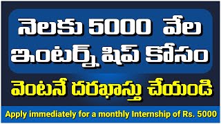 నెలకు 5వేల ఇంటర్న్ షిప్ Apply for Rs 5 th Internship pminternship internship2024 internship [upl. by Michaeu149]