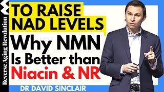 Why NMN Is Better than Niacin amp NR To Raise NAD Levels  Dr David Sinclair Interview Clips [upl. by Ia]