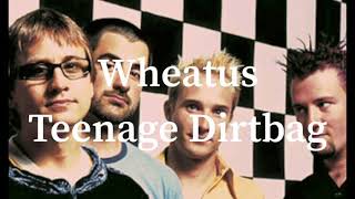 Teenage Dirtbag Wheatus Lyrics 和訳 [upl. by Yral]