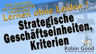 Strategische Geschäftseinheiten Kriterien [upl. by Eilrahc]