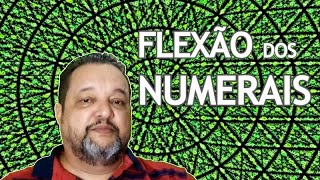 FLEXÃO DOS NUMERAIS [upl. by Aleihs]