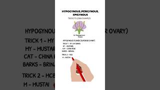 trick to learn examples of hypogynousperigynous and epigynous flowers share neet biology like [upl. by Fanchette]