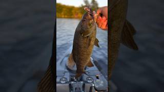 Bass Fishing on the Fly flyfishing kayak [upl. by Ntsuj198]