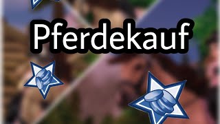 Ich KAUFE mir ein GOTLAND Pony 🐎  Star Stable Deutsch [upl. by Nnayar]