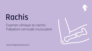 Examen Clinique du Rachis  la Palpation Cervicale Musculaire [upl. by Elyse]