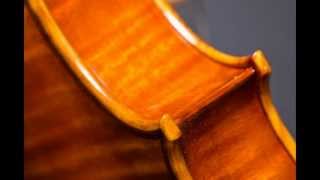 Putsentelas Violin Studio Violin 1 Demo [upl. by Aubarta316]