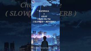 RANDALL x ANAS Choix De Vie  SLOWED  REVERB  lofi song [upl. by Stanly]