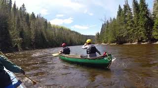 Canoe trip on the Causapscal amp Matapédia 2024 [upl. by Suk803]