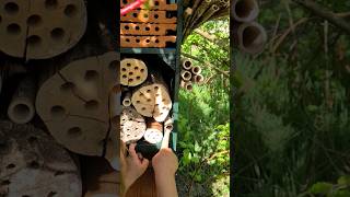 Insektenhotel bauen 🐝 Wildbienen Nisthilfe aus Holzkisten 🤩 garten gartenideen diy wildbienen [upl. by Ecnar]