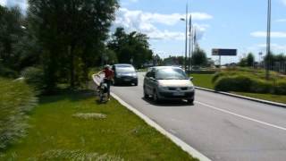 Piste cyclable île du Rhin à Vogelgrun au Pays de Brisach [upl. by Archle356]