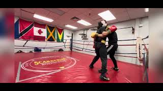 Canadian Boxer Uses Fight IQ In Sparring Against Competitive Boxers [upl. by Heindrick]