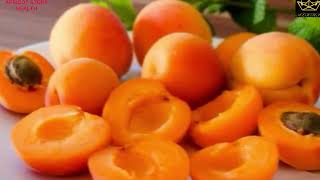 English”Apricot Fruit  Health and Journey” [upl. by Yelats]