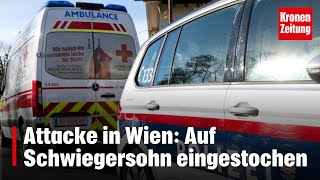 Stiegen hinabgestürzt  Attacke in Wien Auf Schwiegersohn eingestochen  kronetv NEWS [upl. by Jerri]