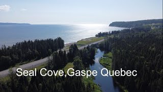 Seal Cove Gaspe Quebec Drone Video [upl. by Critchfield]