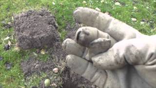 Metal Detecting a 17th Century house [upl. by Luiza]