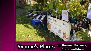 Yvonnes Plants On Growing Bananas Citrus and More [upl. by Esbenshade]