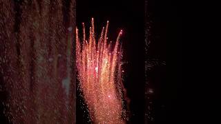 Traumhafter Feuertopf 🔥😱 fireworks feuerwerk pyro [upl. by Ebonee221]