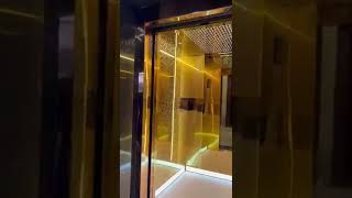 Budget Friendly Elevators Residential Lift Customized Lift Gold Finish Lift Machine Room Lift [upl. by Nnylaj]