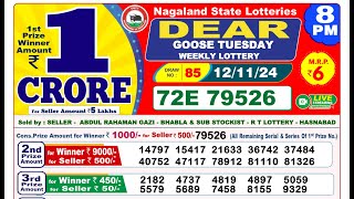 Lottery Result Today 8pm 12112024  Official  Sikkim Lottery [upl. by Grete]