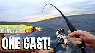 SHORE JIGGING  Why You SHOULD Move To Catch MORE Live Strike [upl. by Imaj]