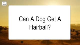 Can A Dog Get A Hairball [upl. by Roda]