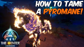 How To Tame a Pyromane in ARK Survival Ascended  Full Ability Guide  Fantastic Tames Pyromane DLC [upl. by Nrublim]