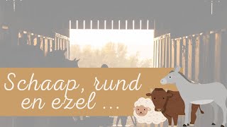 Geen schaap rund of ezel meer [upl. by Ahseila]